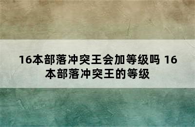 16本部落冲突王会加等级吗 16本部落冲突王的等级